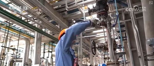 煉化工廠成鳥兒新家 綠色工業設計服務，盡顯工業之美