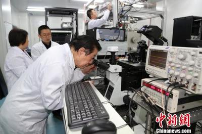 南京大學團隊五年“錘煉”納級探針 刺入單細胞探索分子活動